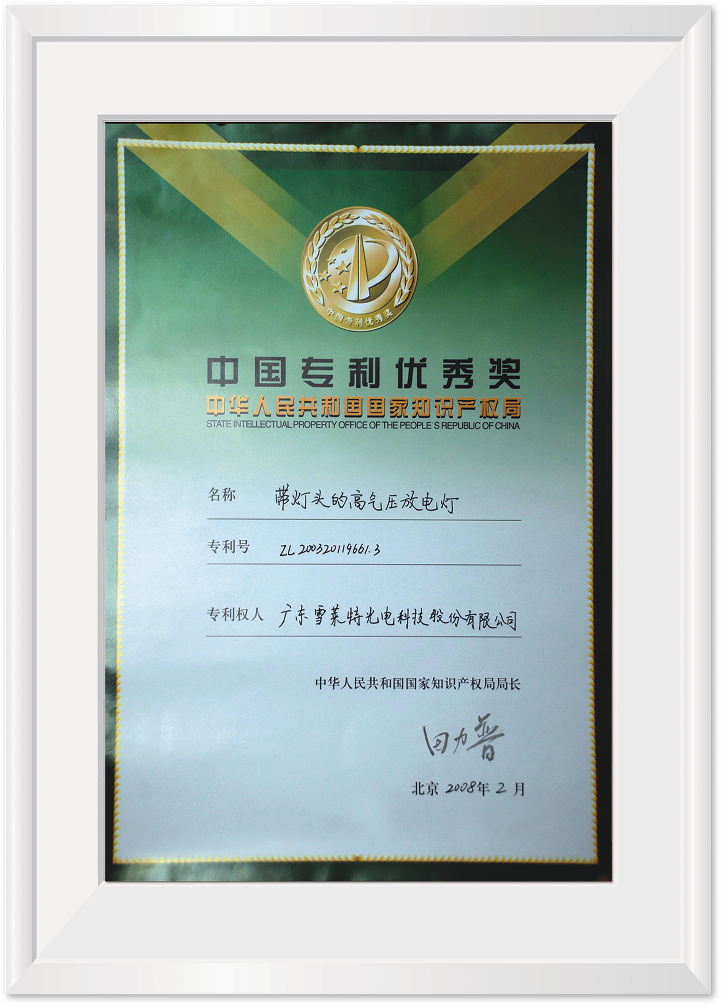 中國專利優(yōu)秀獎